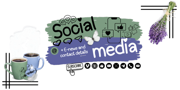 Social Media E-News Contact header 2025 for Ah,Willa!&Friends © copyright